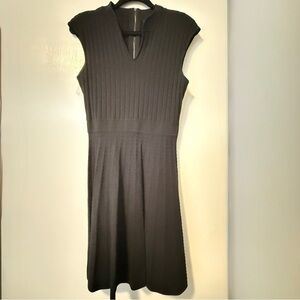 🖤 NWT Chic Ted Baker “Sharnn” Skater Dress – Size 3 (US 8) – NWT